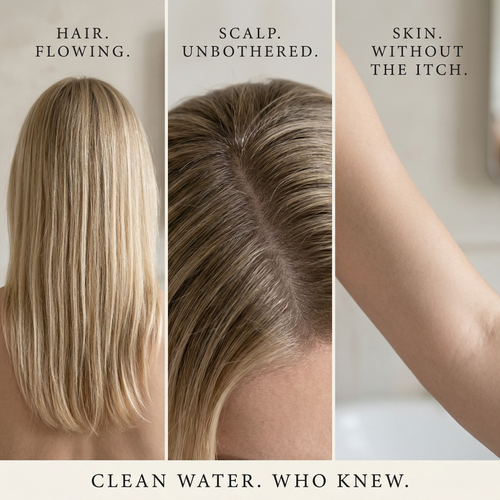 Filtered Handheld Spa Shower Head