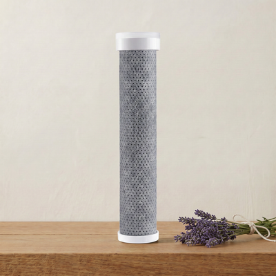 Shower Head Filter
